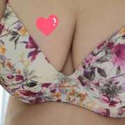 ヒメ日記 2025/12/26 18:26 投稿 みや 兵庫姫路・加古川ちゃんこ