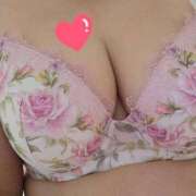 ヒメ日記 2025/12/29 11:59 投稿 みや 兵庫姫路・加古川ちゃんこ