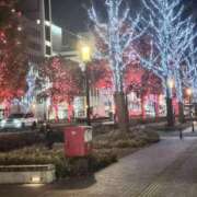 ヒメ日記 2026/01/28 14:08 投稿 みや 兵庫姫路・加古川ちゃんこ