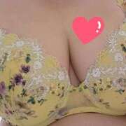 ヒメ日記 2026/01/29 10:33 投稿 みや 兵庫姫路・加古川ちゃんこ