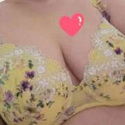 ヒメ日記 2026/02/20 09:39 投稿 みや 兵庫姫路・加古川ちゃんこ