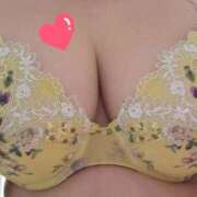 ヒメ日記 2026/04/04 16:53 投稿 みや 兵庫姫路・加古川ちゃんこ