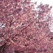 ヒメ日記 2025/03/23 13:20 投稿 さわ 奥鉄オクテツ大阪