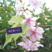 ヒメ日記 2025/03/26 10:25 投稿 さわ 奥鉄オクテツ大阪