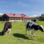 ヒメ日記 2025/10/04 08:30 投稿 さわ 奥鉄オクテツ大阪