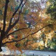 ヒメ日記 2025/12/16 18:35 投稿 さわ 奥鉄オクテツ大阪