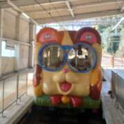 ヒメ日記 2025/02/27 09:50 投稿 さわ 奥鉄オクテツ兵庫