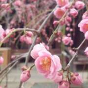 ヒメ日記 2025/03/09 09:50 投稿 さわ 奥鉄オクテツ兵庫