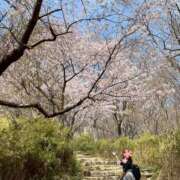 ヒメ日記 2025/04/12 12:00 投稿 さわ 奥鉄オクテツ兵庫