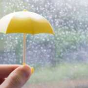 ヒメ日記 2025/06/14 12:50 投稿 さわ 奥鉄オクテツ兵庫