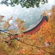 ヒメ日記 2025/11/27 12:50 投稿 さわ 奥鉄オクテツ兵庫