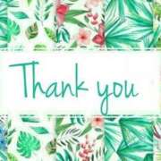 ヒメ日記 2025/11/29 12:55 投稿 さわ 奥鉄オクテツ兵庫