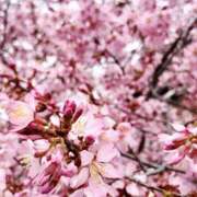 ヒメ日記 2026/03/06 13:50 投稿 さわ 奥鉄オクテツ兵庫