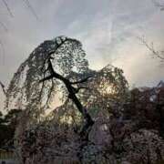 ヒメ日記 2026/03/26 08:55 投稿 さわ 奥鉄オクテツ兵庫