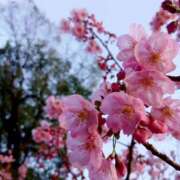 ヒメ日記 2026/03/28 10:50 投稿 さわ 奥鉄オクテツ兵庫