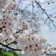 ヒメ日記 2026/03/31 09:00 投稿 さわ 奥鉄オクテツ兵庫