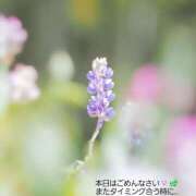 ヒメ日記 2026/04/03 18:15 投稿 さわ 奥鉄オクテツ兵庫