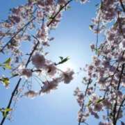 さわ 葉桜の下で♡ 奥鉄オクテツ兵庫