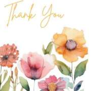 ヒメ日記 2025/03/09 13:00 投稿 さわ 奥鉄オクテツ奈良