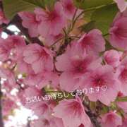 ヒメ日記 2025/03/29 15:00 投稿 さわ 奥鉄オクテツ奈良