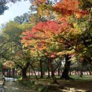 ヒメ日記 2025/11/18 09:15 投稿 さわ 奥鉄オクテツ奈良