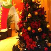 ヒメ日記 2025/11/27 14:30 投稿 さわ 奥鉄オクテツ奈良