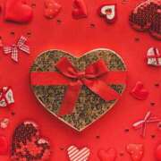 ヒメ日記 2026/02/12 10:10 投稿 さわ 奥鉄オクテツ奈良