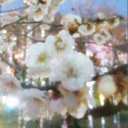 ヒメ日記 2026/02/21 10:50 投稿 さわ 奥鉄オクテツ奈良