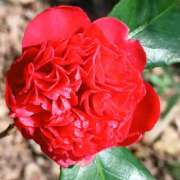 ヒメ日記 2026/03/01 11:50 投稿 さわ 奥鉄オクテツ奈良