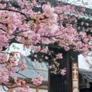 ヒメ日記 2026/03/04 10:40 投稿 さわ 奥鉄オクテツ奈良