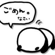 ヒメ日記 2026/03/13 12:10 投稿 さわ 奥鉄オクテツ奈良