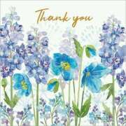 ヒメ日記 2026/03/25 17:00 投稿 さわ 奥鉄オクテツ奈良