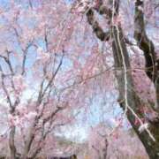 ヒメ日記 2026/04/07 09:10 投稿 さわ 奥鉄オクテツ奈良