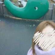 ヒメ日記 2025/03/08 10:10 投稿 さわ 奥鉄オクテツ和歌山