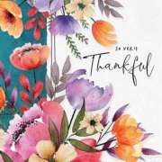 ヒメ日記 2025/03/30 14:20 投稿 さわ 奥鉄オクテツ和歌山