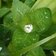 ヒメ日記 2025/05/27 09:35 投稿 さわ 奥鉄オクテツ和歌山