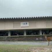 ヒメ日記 2025/06/12 10:10 投稿 さわ 奥鉄オクテツ和歌山