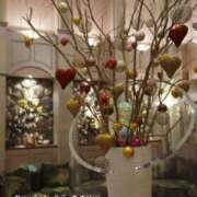 ヒメ日記 2026/02/17 11:00 投稿 さわ 奥鉄オクテツ和歌山