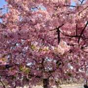 ヒメ日記 2026/03/05 16:50 投稿 さわ 奥鉄オクテツ和歌山