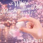 ヒメ日記 2026/03/11 08:40 投稿 さわ 奥鉄オクテツ和歌山