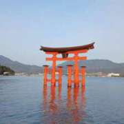 ヒメ日記 2026/03/20 08:05 投稿 さわ 奥鉄オクテツ和歌山