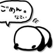 ヒメ日記 2026/03/22 10:20 投稿 さわ 奥鉄オクテツ和歌山