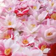 ヒメ日記 2026/03/25 08:10 投稿 さわ 奥鉄オクテツ和歌山