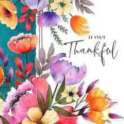 ヒメ日記 2026/03/25 16:50 投稿 さわ 奥鉄オクテツ和歌山