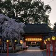 ヒメ日記 2026/03/27 08:10 投稿 さわ 奥鉄オクテツ和歌山