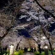 ヒメ日記 2026/03/28 11:10 投稿 さわ 奥鉄オクテツ和歌山