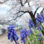 ヒメ日記 2026/04/01 09:15 投稿 さわ 奥鉄オクテツ和歌山