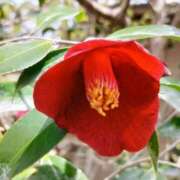 ヒメ日記 2026/04/07 17:40 投稿 さわ 奥鉄オクテツ和歌山