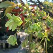 ヒメ日記 2026/04/10 08:10 投稿 さわ 奥鉄オクテツ和歌山