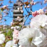 さわ なんば♡ 奥鉄オクテツ和歌山